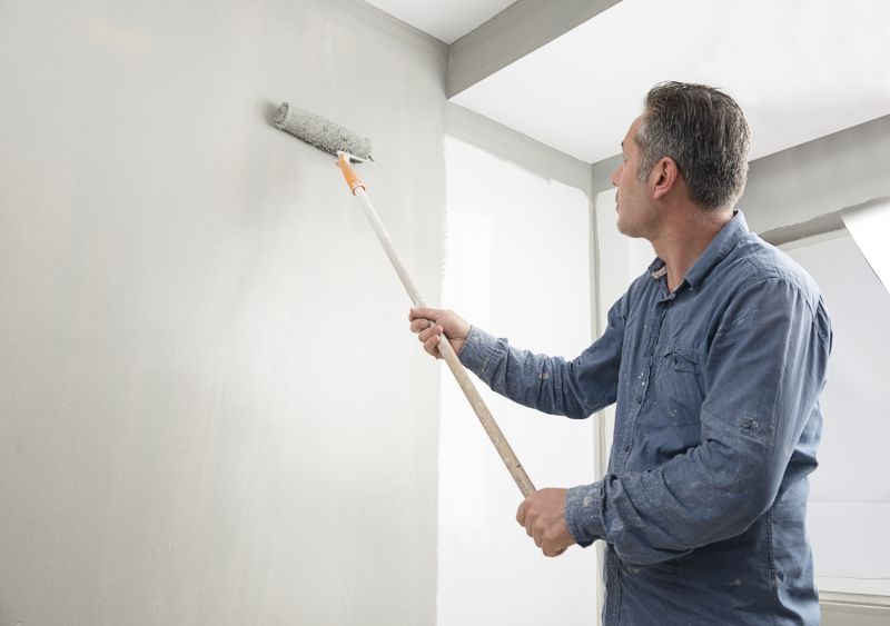 Cladding Painting in Boulder, CO